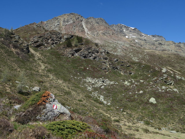 zwischen Gursgenbach und Seidernitzsee (27. Mai)