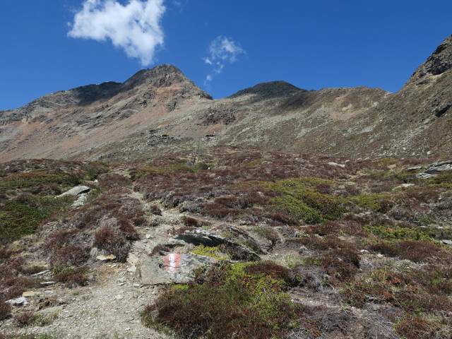 zwischen Seidernitztörl und Pirkeralm (27. Mai)