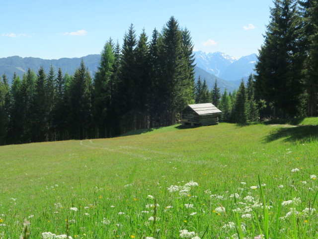 Weg J27 zwischen Gasthof Bergheimat und Pölland (27. Mai)