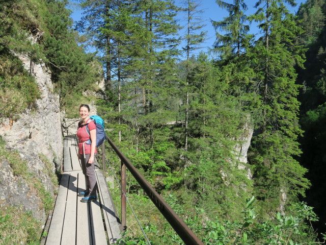 Sabine zwischen Lassing-Stausee und Lassingfall