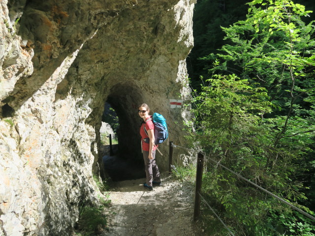 Sabine zwischen Lassingfall und Stierwaschboden