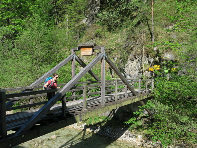 Sabine am Stierwaschboden