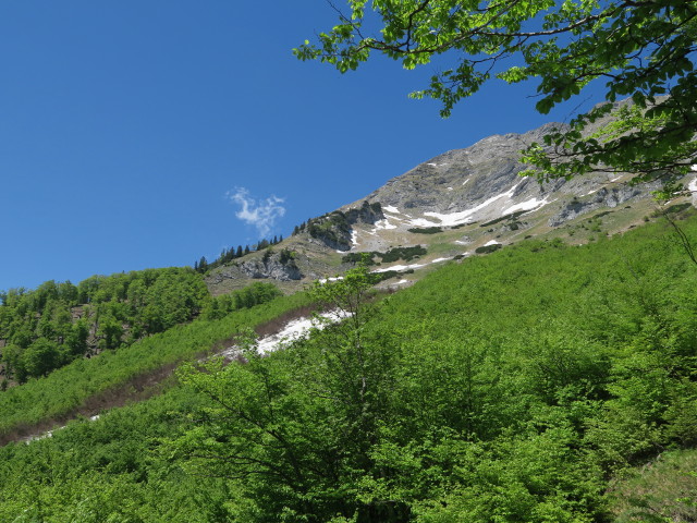 neben dem Weg 12 zwischen 'Beim Jäger Herz' und Geldloch