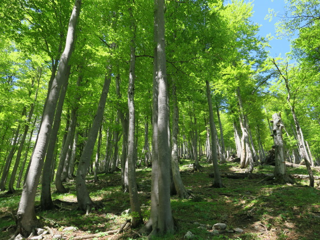 neben dem Weg 12 zwischen 'Beim Jäger Herz' und Geldloch
