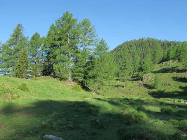 Weg 577 bei der Leutschacher Hütte