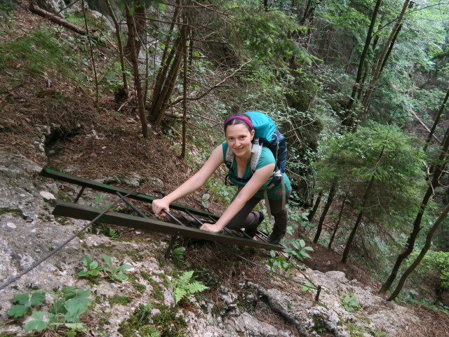 Waldegger Steig: Sabine auf der zweiten Leiter