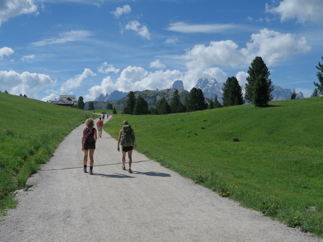 Weg 37 am Plätzwiesensattel, 1.991 m (15. Juni)