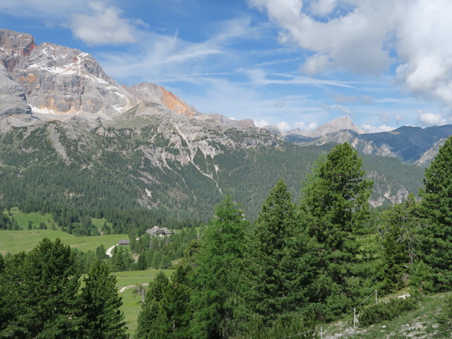 Plätzwiesen (15. Juni)