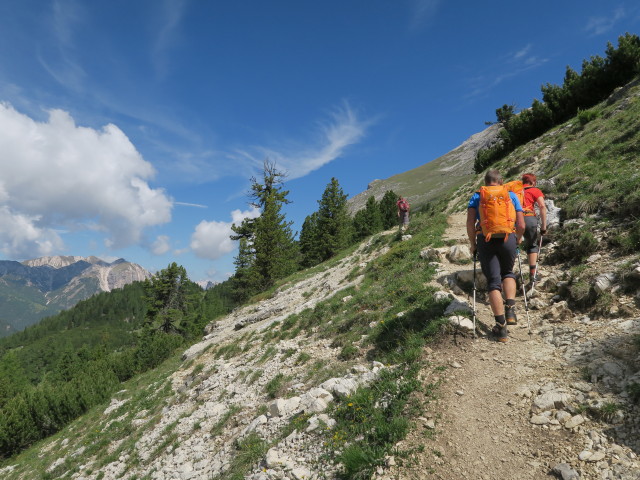 Weg 40 auf der Dürrensteinalpe (15. Juni)