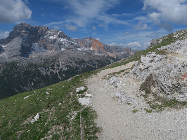 Weg 40 zwischen Dürrensteinalpe und Dürrenstein (15. Juni)