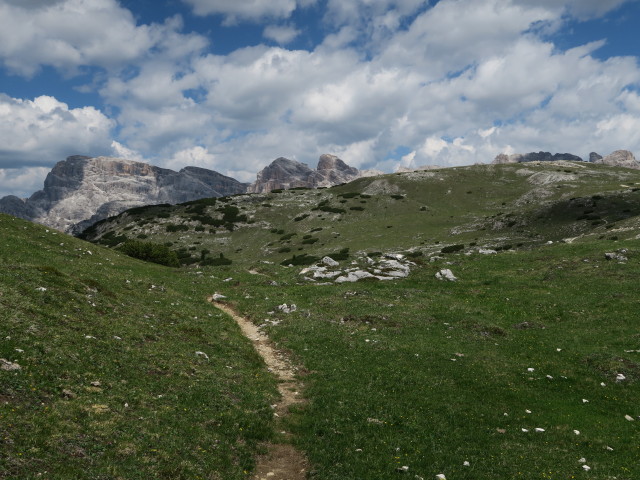 Frontsteig zwischen Dürrensteinalpe und Strudelkopfsattel (15. Juni)