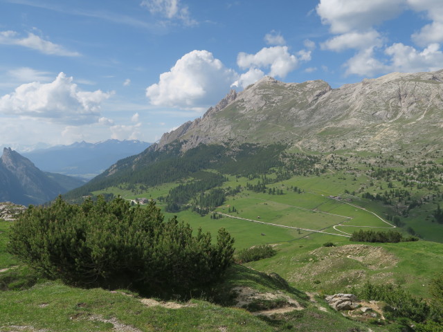 Plätzwiesen vom Knollkopf aus (15. Juni)