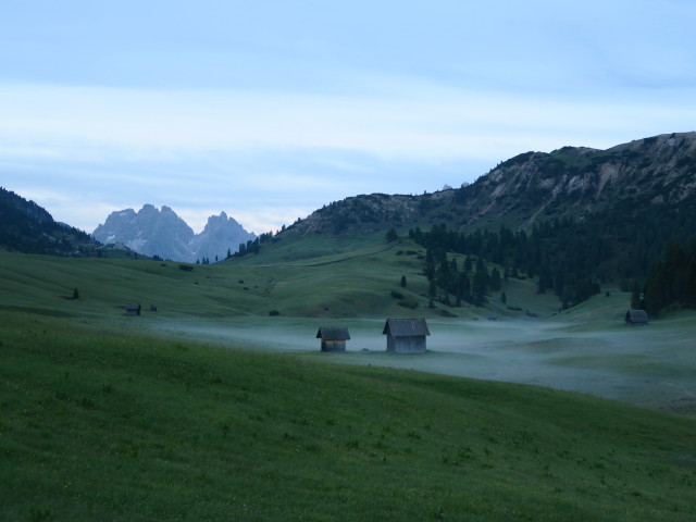 Kasselerwiesen (16. Juni)