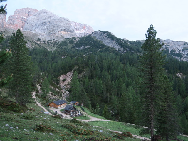 Stolla-Alm, 1.950 m (16. Juni)