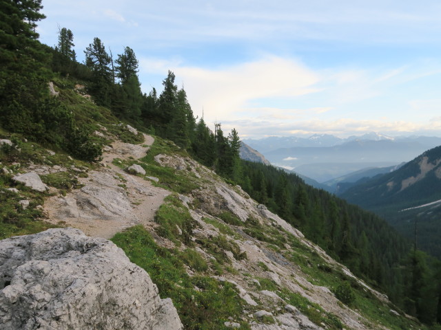 Weg 3 zwischen Stolla-Alm und Gumpalboden (16. Juni)