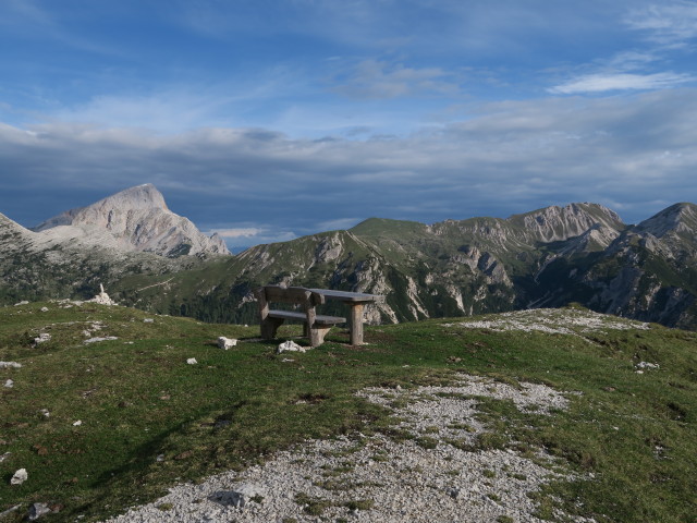 neben Weg 3 bei der Gaiselleite (16. Juni)