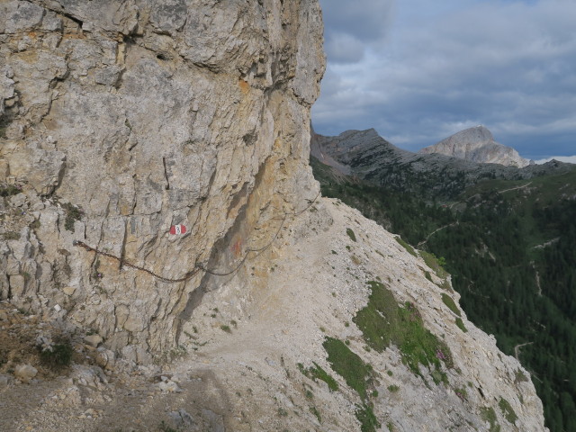 Weg 3 bei der Gaiselleite (16. Juni)