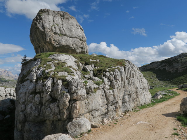 Weg 6 zwischen Seekofelhütte und Törl (16. Juni)
