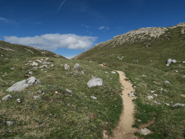 Weg 6A zwischen Törl und Munt de Senes (16. Juni)