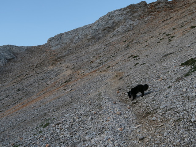 Weg 27 zwischen Val de San Berto und Muntejela de Senes (17. Juni)