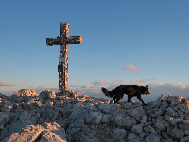 Muntejela de Senes, 2.787 m (17. Juni)