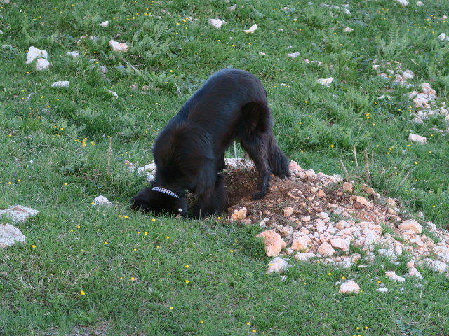 Val San Berto (17. Juni)
