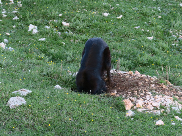 Val San Berto (17. Juni)