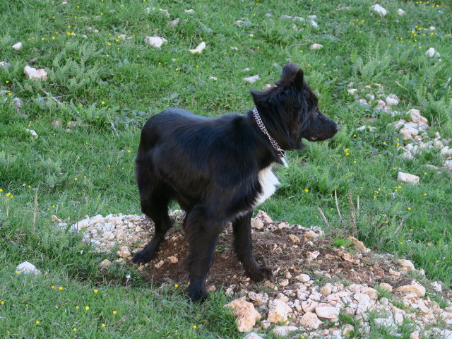 Val San Berto (17. Juni)