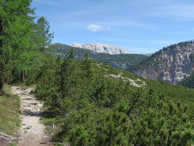 Weg 7 im Valun de Fanes (17. Juni)