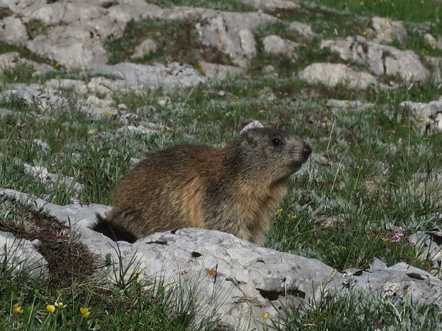 Plan dles Sarenes (17. Juni)