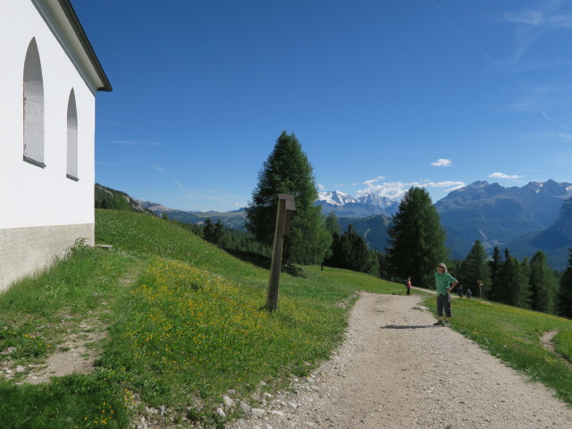 Weg 7 bei La Crusc, 2.045 m (18. Juni)