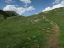 zwischen Strudelkopfsattel und Dürrensteinhütte (15. Juni)