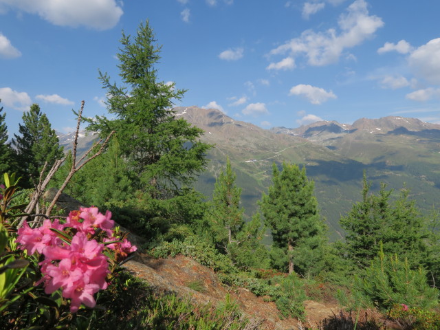 neben Weg 171 zwischen Brunnenbergalm und Brunnenkogelhaus