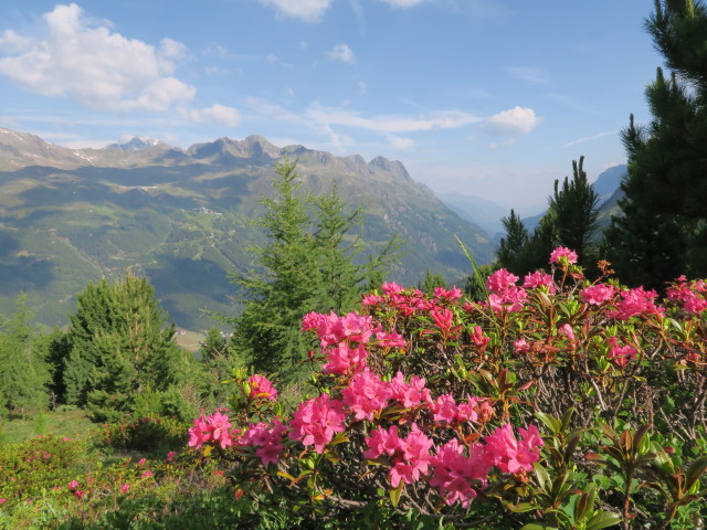 neben Weg 171 zwischen Brunnenbergalm und Brunnenkogelhaus