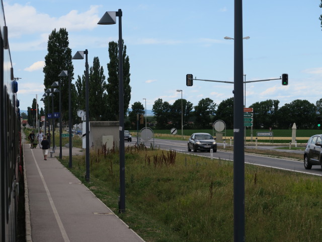 Haltestelle Haslau, 191 m