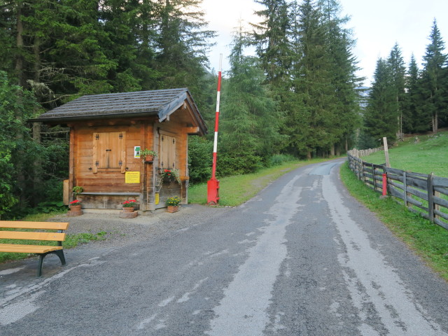 zwischen Erlsbach und Patscher Hütte (8. Juli)