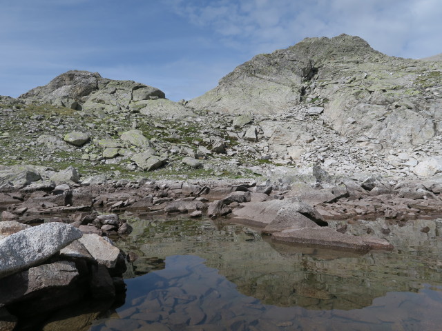 neben Weg 114 zwischen Jägerscharte und Almersattel (9. Juli)
