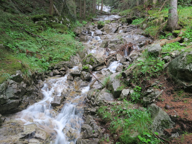 Kesselbach (22. Juli)