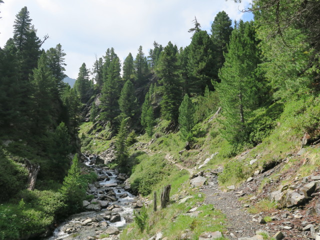 Weg 16 zwischen Möslboden und Schafalm (22. Juli)