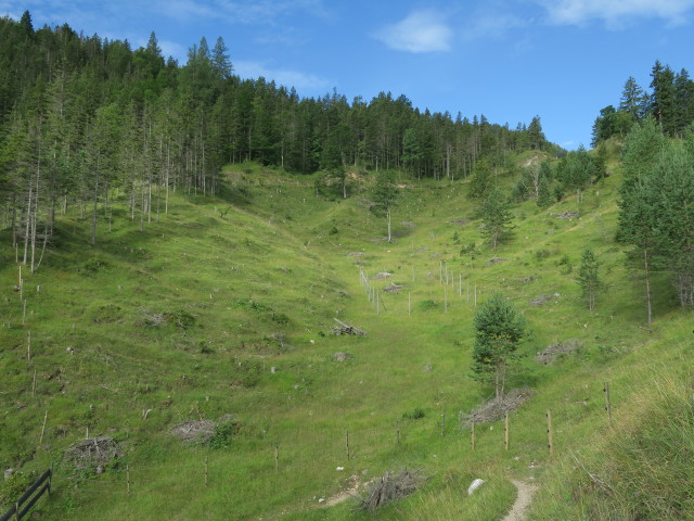 Gleirschtal (29. Juli)
