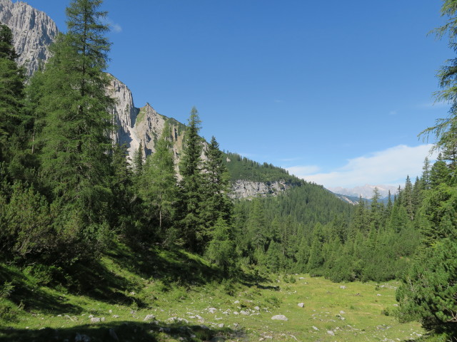 Weg 216 im Mandltal (29. Juli)