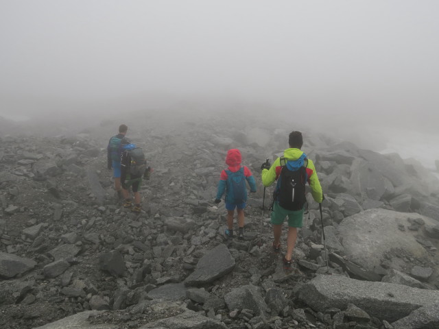 Stefan, ?, Sigrid und Christian zwischen Möselerscharte und Neveser Höhenweg (5. Aug.)