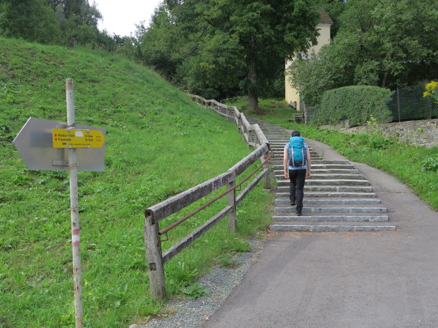 Sabine am Weg 09 in Schlatting (12. Aug.)