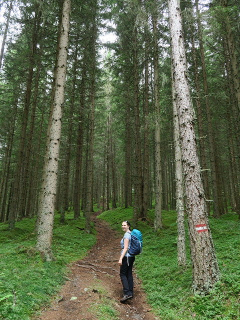 Sabine am Weg 09 zwischen Schlatting und Murauer Hütte (12. Aug.)