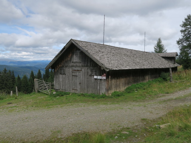 neben Weg 109 zwischen Murauer Hütte und Bernhard-Fest-Hütte (12. Aug.)