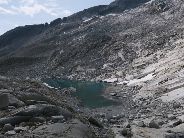 neben dem Neveser Höhenweg zwischen Am Mösele und Muttelahner (26. Aug.)