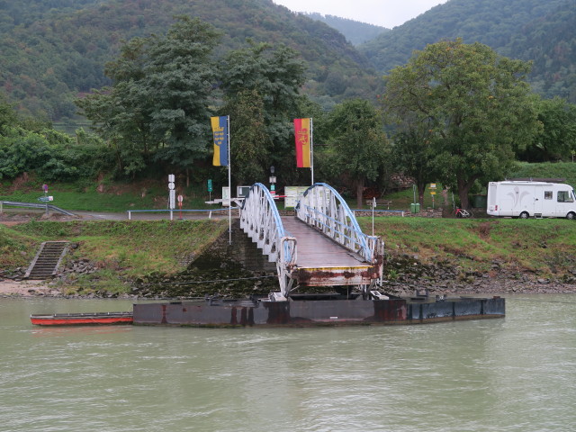 Rollfähre Spitz  Arnsdorf