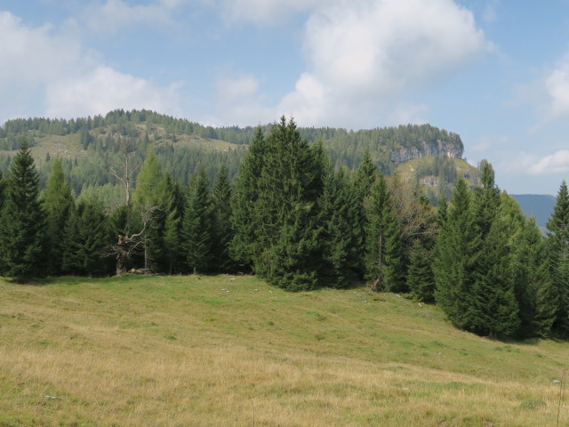 neben Weg R2 zwischen Huberhütte und Lienbachhütte (23. Sep.)