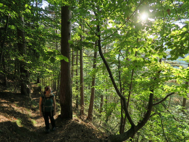 Sabine zwischen Türkensturz und Pitten