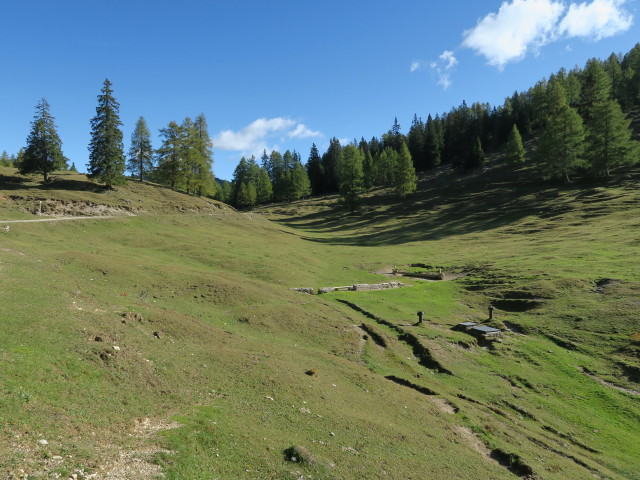 Radniger Alm, 1.554 m